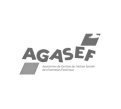 client-agasef.jpg
