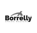 client-borrelly.jpg